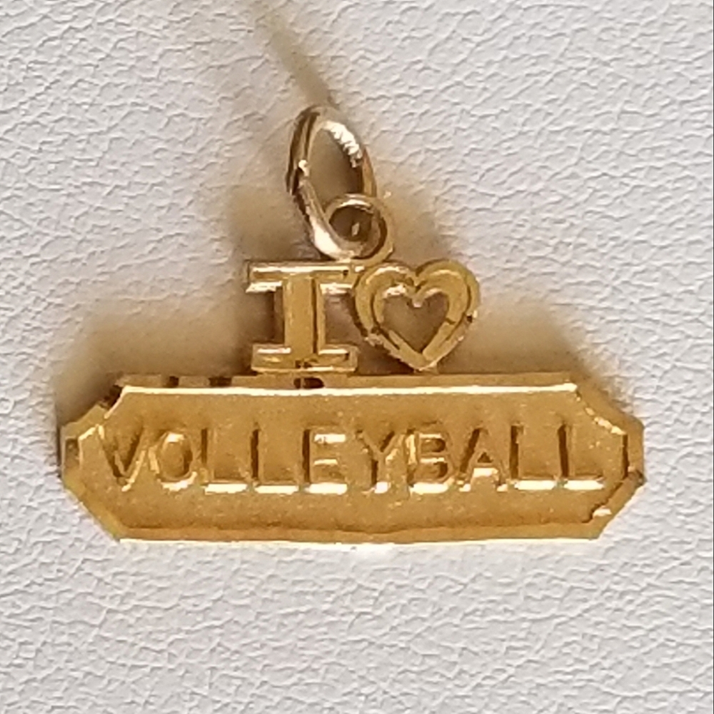10K Volleyball Pendant/Charm